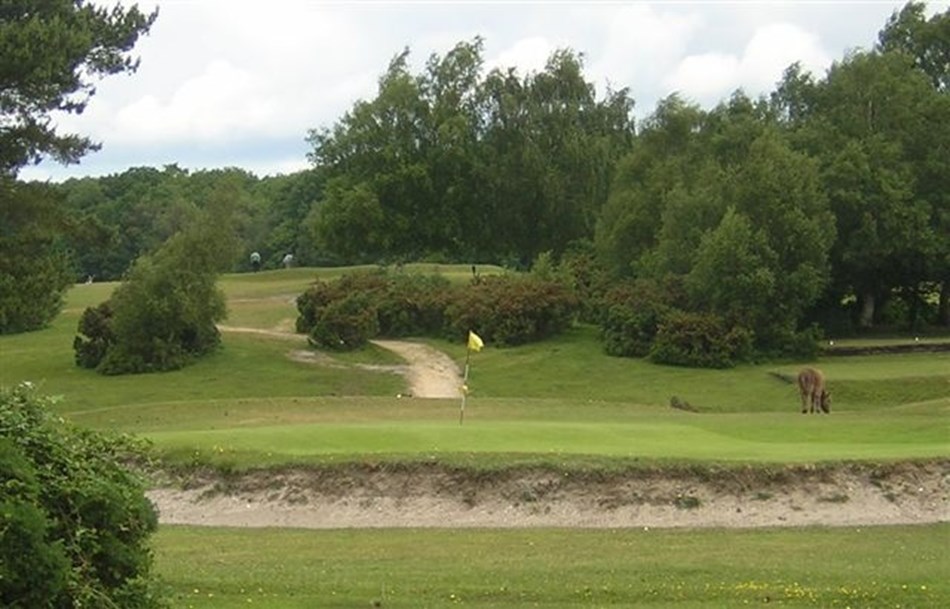 New Forest Golf Course
