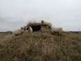 Texel 2