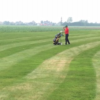 Westwoud 4
