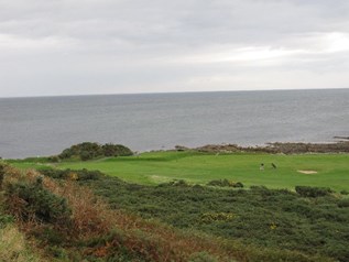 Balcomie Links