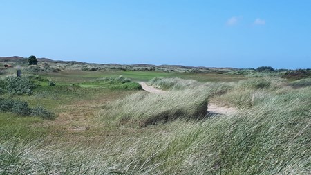 Golfaholics Texel