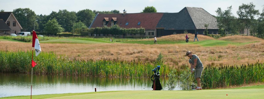 Golfaholics Bergvliet