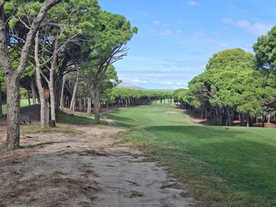 Golfaholics Platja Des Pals